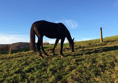mmo Bottenwil 7nov15 d2 Timoa