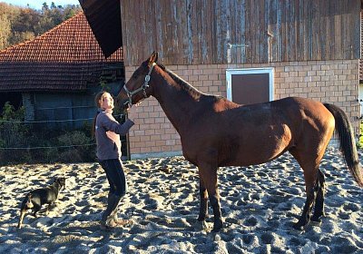 mmo Bottenwil 7nov15 l Prince
