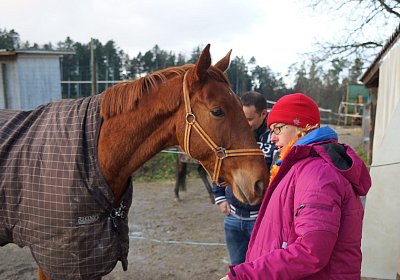 DSC00198 Gitan