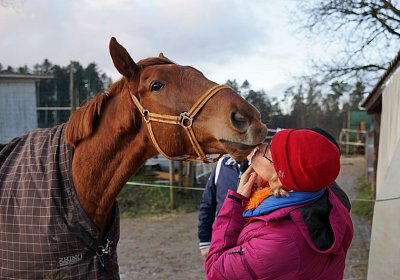 DSC00205 Gitan