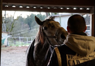 DSC00260 Remedial