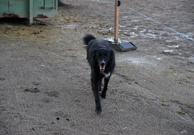 DSC00314 Jimmy