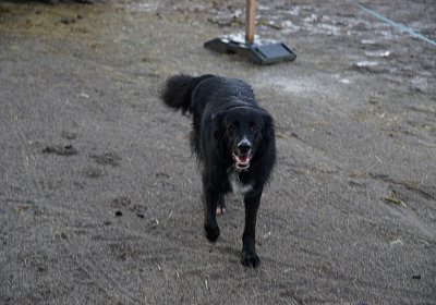 DSC00316 Jimmy