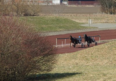 DSC02319 Rebus Timoa