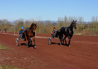 DSC02421 Rebus Timoa