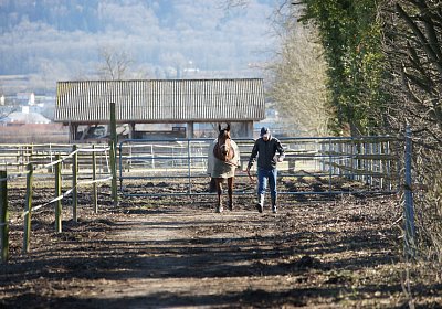 DSC02536 Rebus Timoa