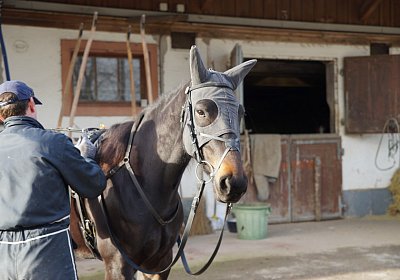 2015 01 12 Timoa Besuch Avenches 00002