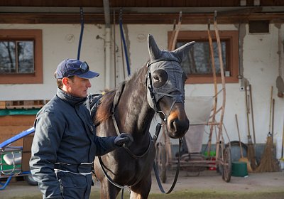 2015 01 12 Timoa Besuch Avenches 00003