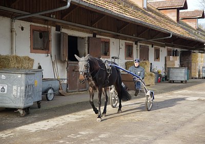 2015 01 12 Timoa Besuch Avenches 00004