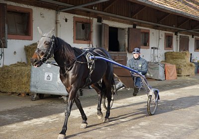 2015 01 12 Timoa Besuch Avenches 00005