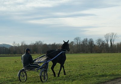 2015 01 12 Timoa Besuch Avenches 00007