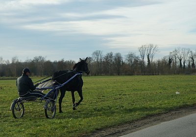 2015 01 12 Timoa Besuch Avenches 00008