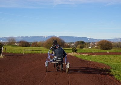 2015 01 12 Timoa Besuch Avenches 00013