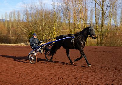2015 01 12 Timoa Besuch Avenches 00014