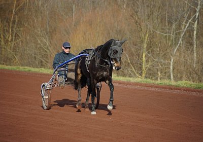 2015 01 12 Timoa Besuch Avenches 00017