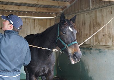 2015 01 12 Timoa Besuch Avenches 00029