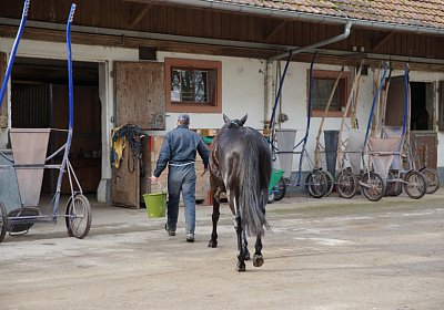 2015 01 12 Timoa Besuch Avenches 00032