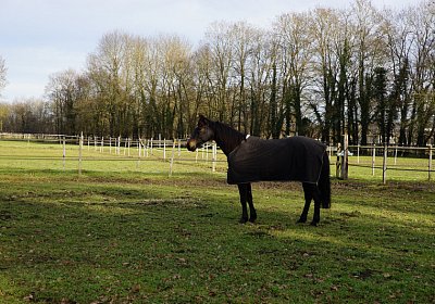 2015 01 12 Timoa Besuch Avenches 00036