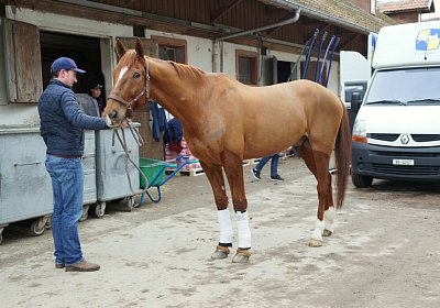 d Richmond scs DSC02983 1Feb2016