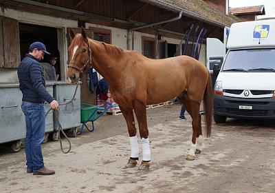 d Richmond scs DSC02985 1Feb2016
