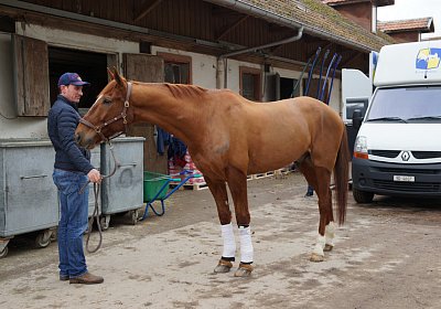 d Richmond scs DSC02987 1Feb2016