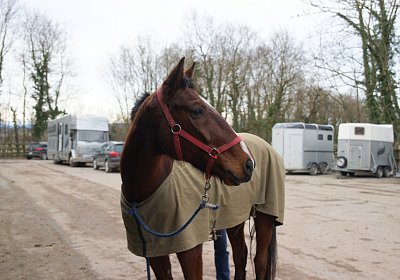 h Tresor scs DSC02996 1Feb2016