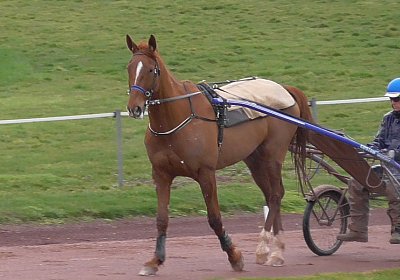 Richmond 5Maerz2016 S1440086