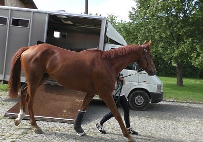 Vivalko 26Mai 2016 S1510029