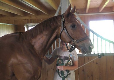 Vivalko 26Mai 2016 S1510033