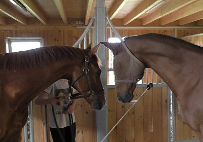 Vivalko 26Mai 2016 S1510036