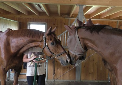 Vivalko 26Mai 2016 S1510041