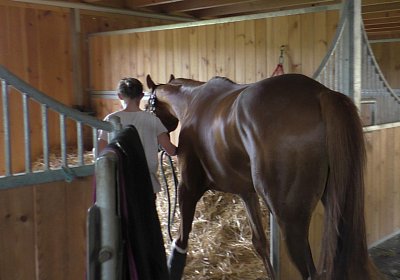 Vivalko 26Mai 2016 S1510046