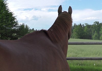 Vivalko 26Mai 2016 S1510052