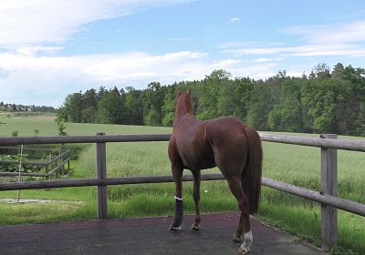 Vivalko 26Mai 2016 S1510055