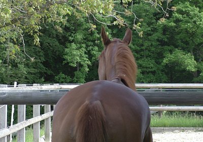 Vivalko 26Mai 2016 S1510060