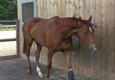 Vivalko 26Mai 2016 S1510061