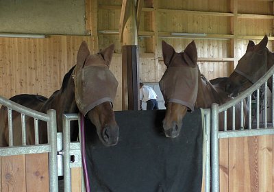 Vivalko 26Mai 2016 S1510065