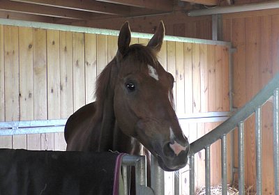 Vivalko 26Mai 2016 S1510075