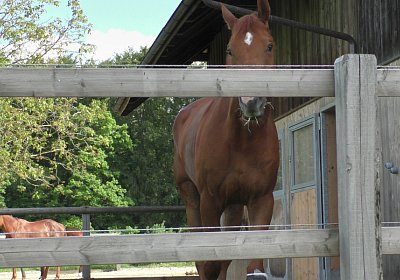 Vivalko 26Mai 2016 S1510082