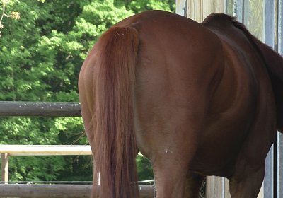 Vivalko 26Mai 2016 S1510086