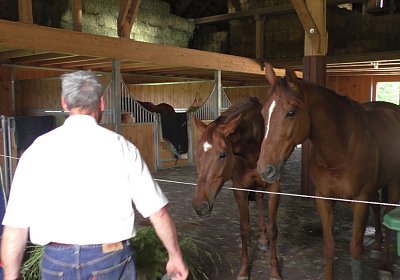 Vivalko 26Mai 2016 S1510089