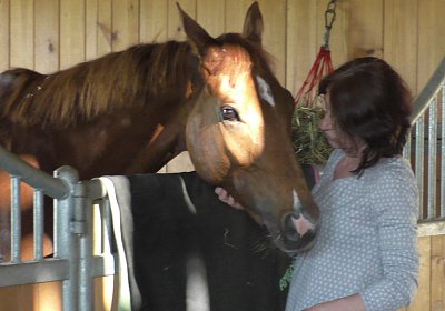 Vivalko 26Mai 2016 S1510110