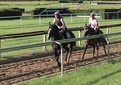 Hectomare 23juni 2016 A S1540024