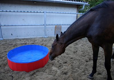 Hectomare 23juni 2016 DSC05668