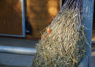 Hectomare 23juni 2016 DSC05676