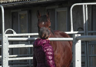 Bel Claudia 3nov2016 S1730006