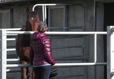 Bel Claudia 3nov2016 S1730007