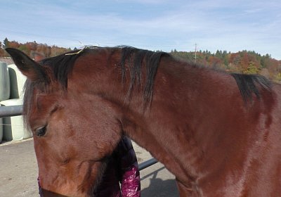 Bel Claudia 3nov2016 S1730028