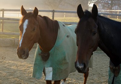 DSC07960 Hecto Kugelblitz