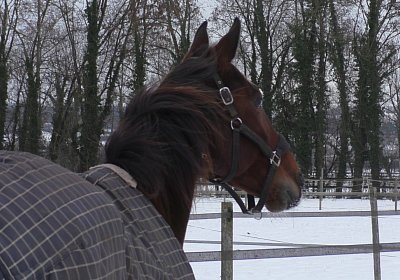S1780028 Top Winner
